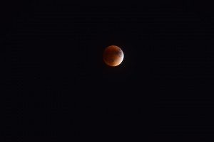 Blood Moon