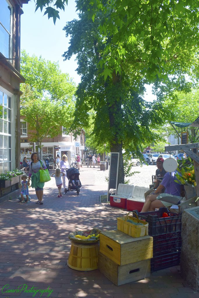 A small farmer's market on Main Street