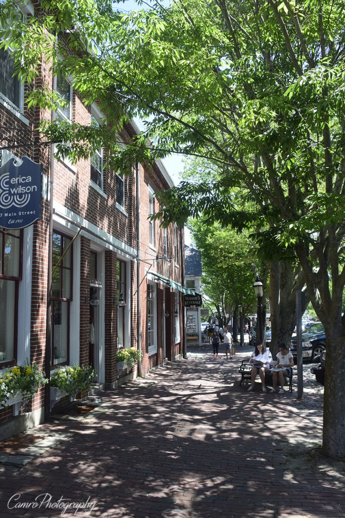 Beautiful tree-lined, cobblestone streets