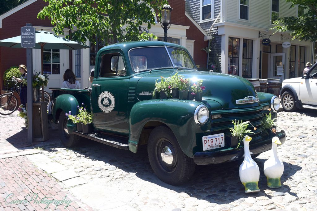 Very neat looking truck with a couple of geese hanging out in front.